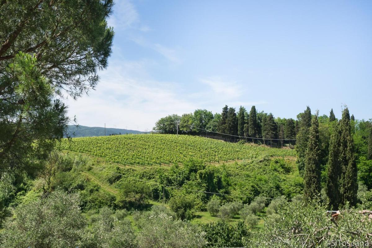 Agriturismo Terre Di Toscana Terricciola Ngoại thất bức ảnh
