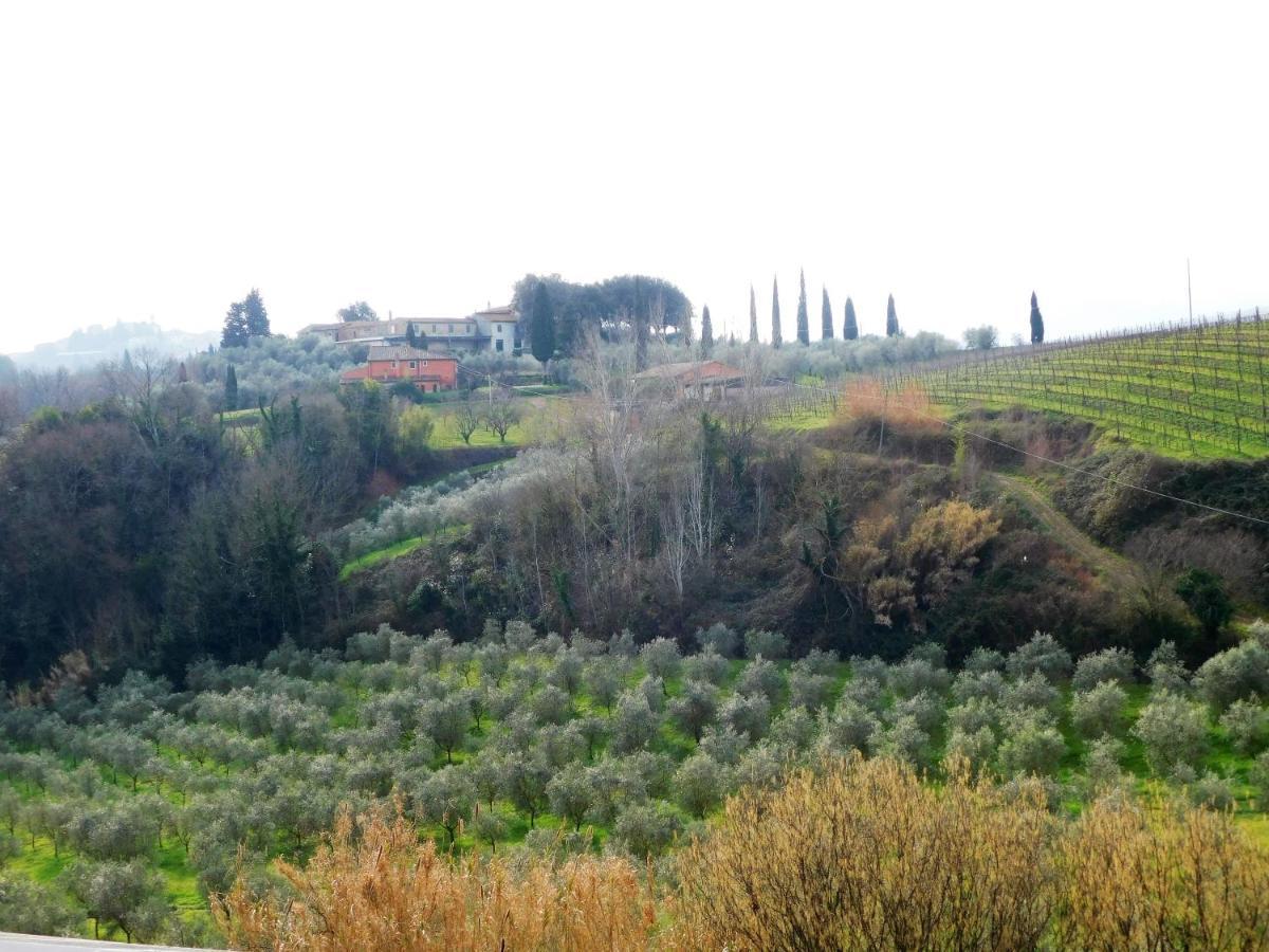 Agriturismo Terre Di Toscana Terricciola Ngoại thất bức ảnh